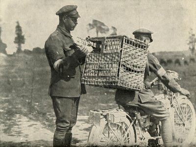 Pombos britânicos na França, 1919. de Unbekannt