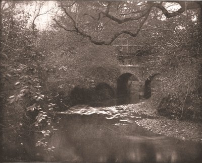 Ribeiro e ponte na floresta nova, Hampshire, 1894. de Unbekannt