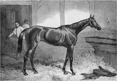 Duquesa Marrom, século XIX, 1911 de Unbekannt