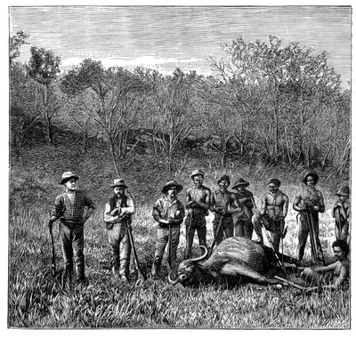 Caçadores de búfalos no Transvaal, África do Sul, c1890 de Unbekannt