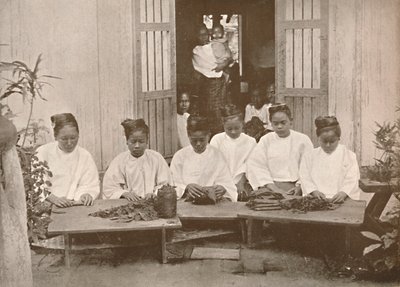 Fabricantes de charutos birmaneses, 1900. de Unbekannt
