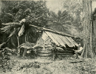 Bush Hut, Dandenong Ranges, Victoria, 1901. de Unbekannt