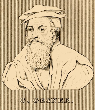 C. Gessner, 1516-1565, 1830. de Unbekannt