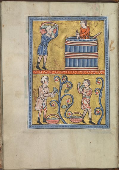 Calendário, setembro, homens colhendo e pisando uvas - Saltério de Eleanor de Aquitânia (ca. 1185) - KB 76 F 13, fólio 009v de Unbekannt