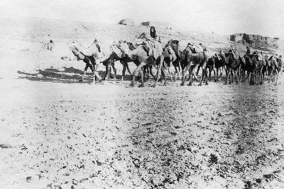 Trem de camelo, Mosul, Mesopotâmia, 1918 de Unbekannt