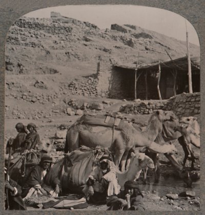 Trem de camelo de Jerash, molhando na Fonte de Eliseu, c1900 de Unbekannt
