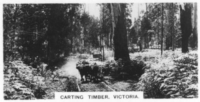 Carting madeira, Victoria, Austrália, 1928 de Unbekannt