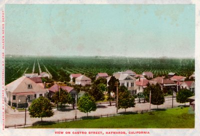 Castro Street, Hayward, Califórnia, 1905 de Unbekannt