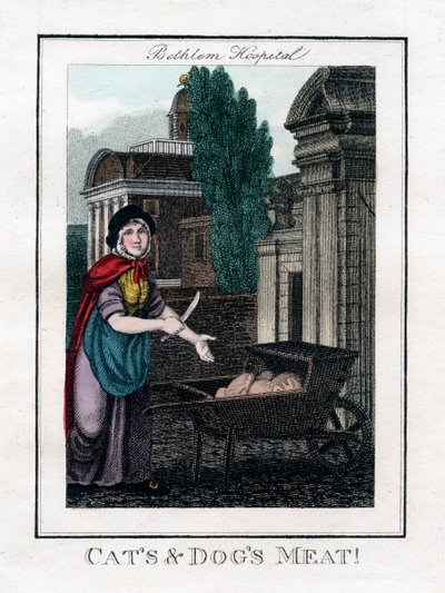 Carne de Gatos e Cães !, Bethlem Hospital, Londres, 1805 de Unbekannt