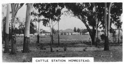 Homestead da estação de gado, Austrália, 1928 de Unbekannt