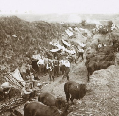 Cavalaria, c1914-c1918 de Unbekannt
