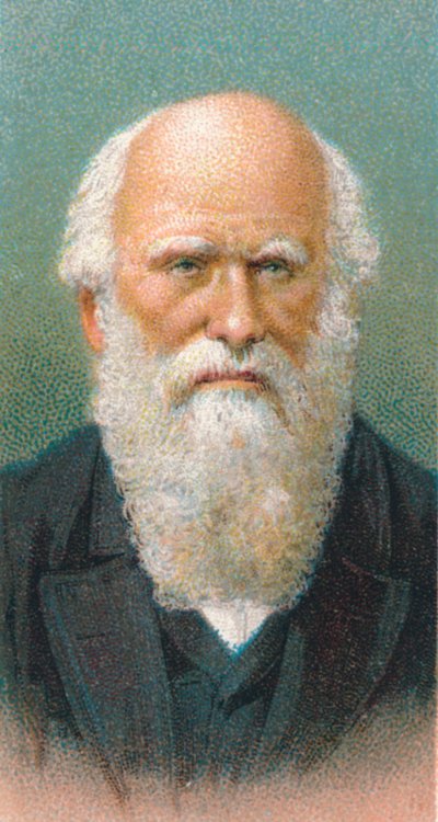 Charles Darwin 1809-1882, naturalista britânico, 1924 de Unbekannt