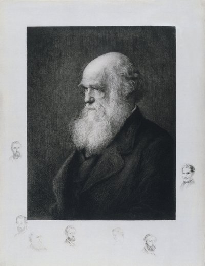 Charles Darwin, naturalista inglês, c 1860s de Unbekannt