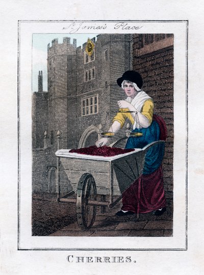 Cerejas, Palácio de St Jamess, Londres, 1805 de Unbekannt