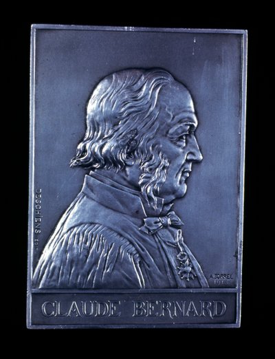 Claude Bernard, fisiologista francês do século XIX, 1913 de Unbekannt