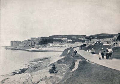Clevedon - a praia verde, 1895 de Unbekannt