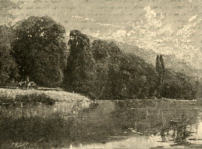 Madeiras de Cliefden, 1898. de Unbekannt