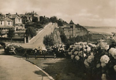 Cliff Road, Shanklin, IW, c1920. de Unbekannt