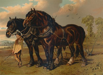 Garanhão de Clydesdale & égua, c1879. de Unbekannt