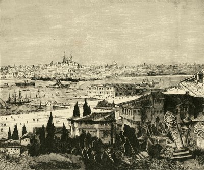 Constantinopla, 1890. de Unbekannt