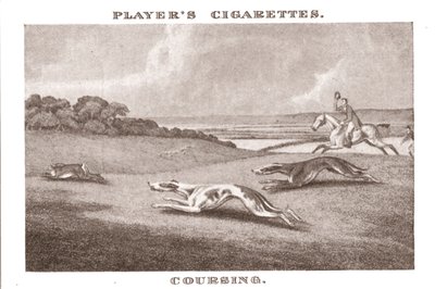 Coursing-11, 1924. de Unbekannt