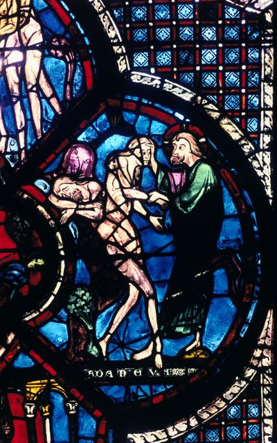 Criação de Eva, vitral, Catedral de Chartres, França, 1205-1215 de Unbekannt