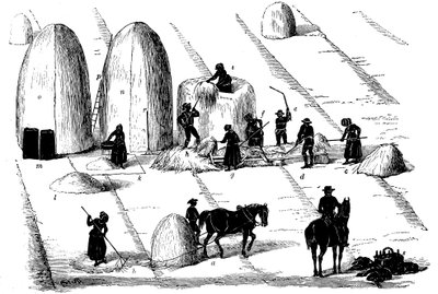 Rotação de culturas: debulha de centeio para semente, 1855 de Unbekannt
