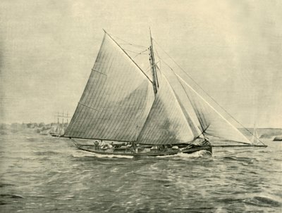 Cruzeiro em Port Jackson, 1901. de Unbekannt