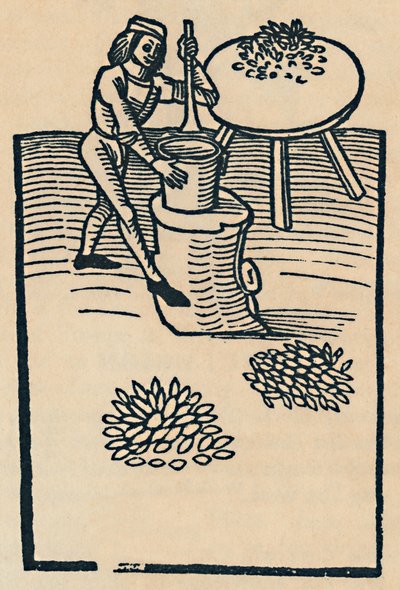Esmagando ervas em um almofariz, 1947 de Unbekannt
