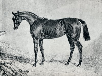 Cipriano, século XIX, 1911 de Unbekannt