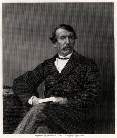 David Livingstone, missionário escocês e explorador africano, século XIX de Unbekannt