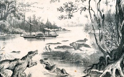David Livingstone navegando no Zambeze, África, 1852-1864 c1878 de Unbekannt