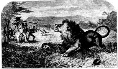 David Livingstone, salvo de um leão por Mebalwe, um professor nativo, 1857 de Unbekannt