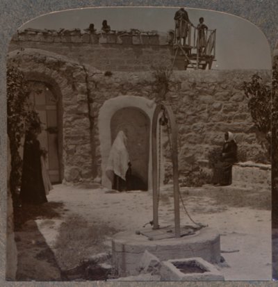 Davids bem nos arredores de Belém, c1900 de Unbekannt