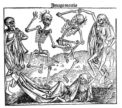 Morte triunfante, 1493 de Unbekannt