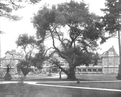 Del Monte, Monterey, Califórnia, EUA, c1900. de Unbekannt