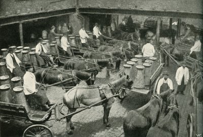 Vans de entrega a partir do depósito central dos Srs. Freeth e Pococks em Vauxhall, 1902. de Unbekannt