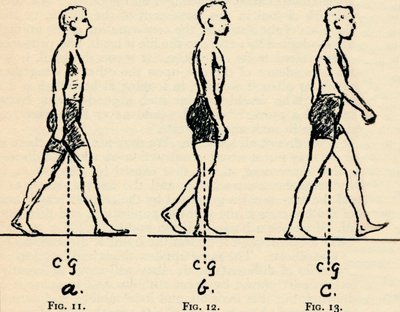 Descrevendo os Principais Princípios da Locomoção, 1940 de Unbekannt