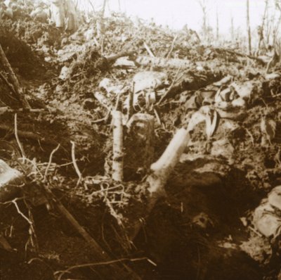 Abrigo destruído, Les Éparges, norte da França, 1915. de Unbekannt