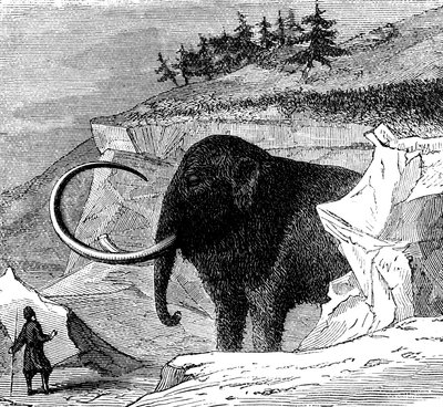 Descoberta de um mamute-lanoso, 1779 c1870 de Unbekannt