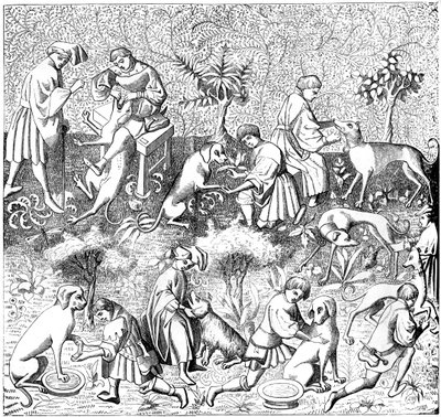Doenças de cães e suas curas, século XIV 1849 de Unbekannt