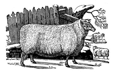 Dishley New Leicester ovelhas, 1811 de Unbekannt