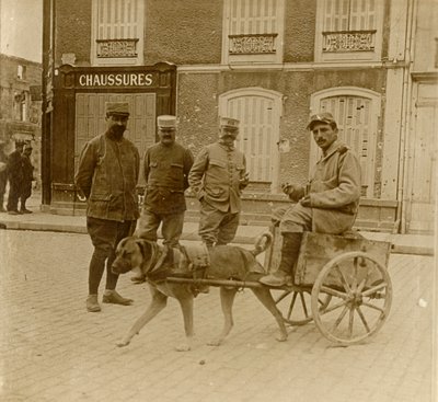 Carrinho de cachorro, França, c1914-c1918 de Unbekannt