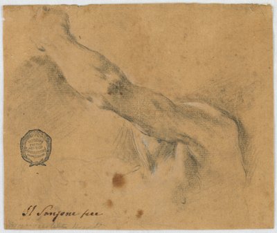 Desenho, estudo - O braço esquerdo e as partes vizinhas do corpo de um homem idoso de Unbekannt