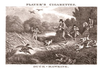 Duck-Hawking, 1924. de Unbekannt