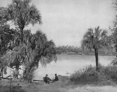 Eau Gallee, Indian River, Flórida, c1897. de Unbekannt