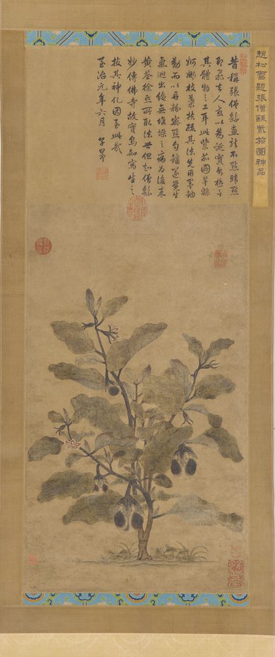 Berinjela, dinastia Ming, 1368-1644. de Unbekannt