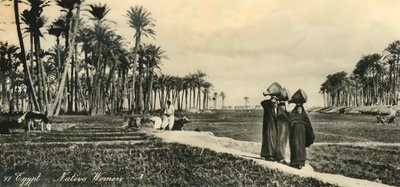 Egito - mulheres nativas, c1918-c1939. de Unbekannt