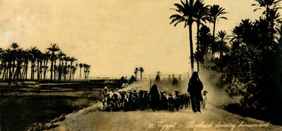 Egito - Pastor dirigindo para casa, c1918-c1939. de Unbekannt