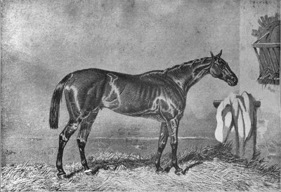 Ellington, 1853-1870, 1911 de Unbekannt